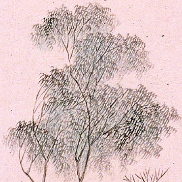 湖天春色图（局部）    清  吴历  轴  纸本设色  123.5×62.5cm  上海博物馆藏
